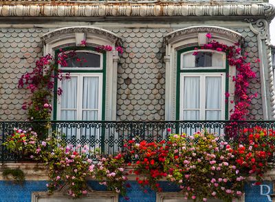 As Janelas da Penso Imperial 