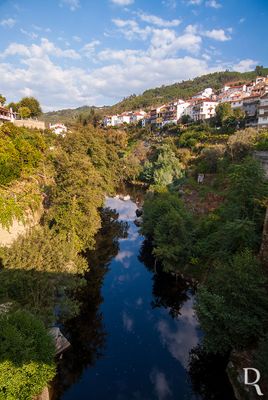 Avô