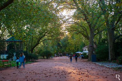 O Parque D. Carlos I em 1 de novembro de 2016