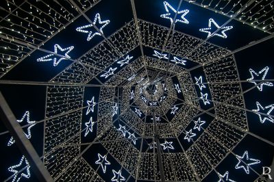 A Árvore de Natal das Caldas