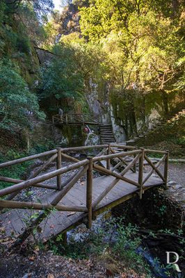 Fraga da Pena