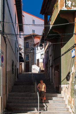 (...) 1614 - construção dos paços do concelho, por ordem de Filipe I, sobre o pano nascente da muralha medieval, integrou, na sua fachada, a antiga Porta da Vila; 1619 - a Câmara de Lisboa fez contrato com Paulo Domingos, oficial de neveiro, que consistia em levar para a capital 96 arrobas de neve da Serra da Estrela para o fornecimento diário entre 1 de Junho e 30 de Setembro, a neve retirada ia em carros até à Barquinha e daí em barcos até Lisboa onde era guardada em poços havendo um junto do Convento da Graça e outro no Castelo de São Jorge; (...)
Anouk Costa, Cláudia Morgado, Marta Clemente, Rita Vale (excertos), in http://www.monumentos.gov.pt/Site/APP_PagesUser/SIPA.aspx?id=5904