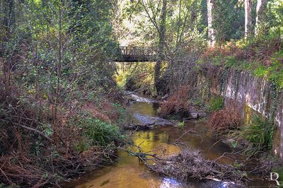 Ribeira de Moel
