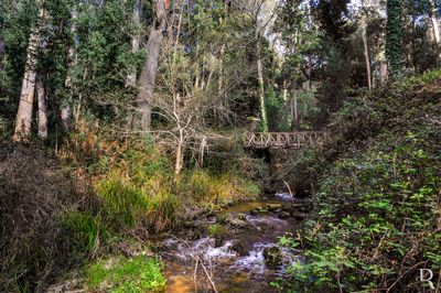 Ribeira de Moel