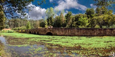 Ponte do Cabeo do Vouga