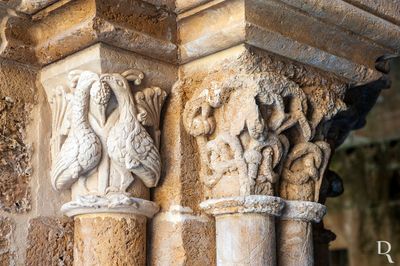 Capitis do Claustro da S