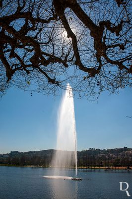 O Geiser do Mondego