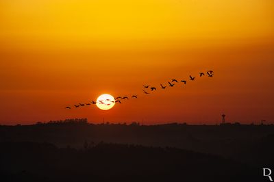 Amanhecer no Picoto 7:04