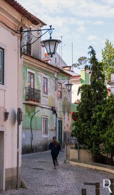 Rua Rodrigo Berqu