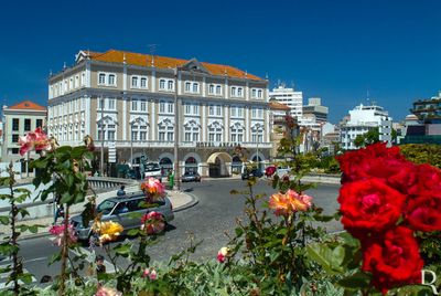 Hotel Arcada