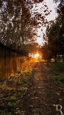 Outono nas Caldas