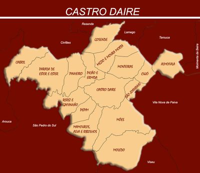 Castro Daire (379 km2; 13 753 h - 36 h/km2)