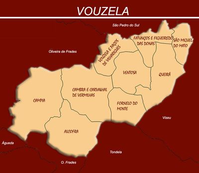 Vouzela (194 km2; 9588 h - 49 h/km2)