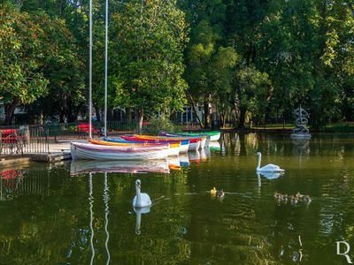 O Parque D. Carlos I em 30 de julho de 2024