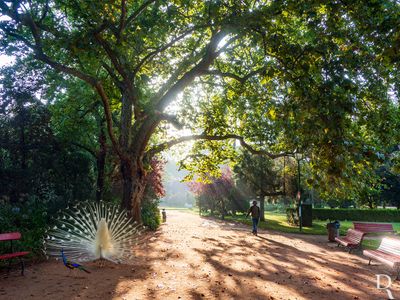 Monumentos de Caldas da Rainha - Parque Dom Carlos I (2015-2024)