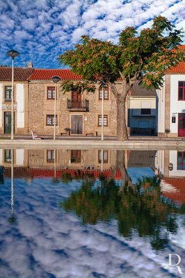 Figueira de Castelo Rodrigo