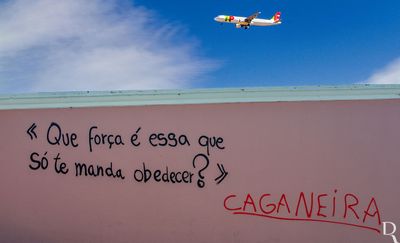 O Diagnóstico