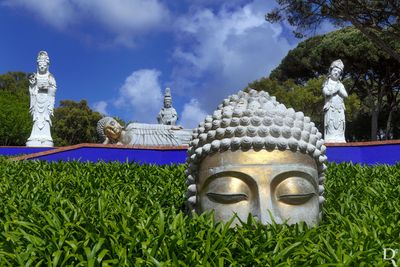 Bacalha Buddha Eden  em 10 de maio de 2025