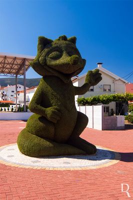 CASTANHEIRA DE PERA