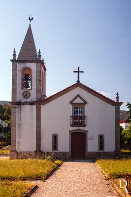 CASTANHEIRA DE PERA