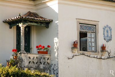 Figueiró dos Vinhos