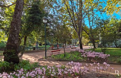 CALDAS DA RAINHA - Parque Dom Carlos I