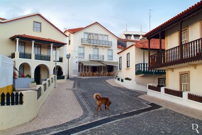  (...) 1880 - construo de uma estrada entre a praia de So Pedro e a Marinha Grande, por iniciativa de famlias abastadas de Leiria; 1922 - iluminao pblica, com candeeiros a petrleo; 1923, 8 novembro - aps desanexao, concesso da rea  Cmara Municipal da Marinha Grande pelo Ministrio do Interior e da Agricultura, para nela ser definitivamente estabelecida a povoao de So Pedro de Moel;  (...)

Anouk Costa (excertos), in http://www.monumentos.gov.pt/Site/APP_PagesUser/SIPA.aspx?id=27723 
