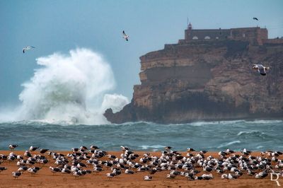 NAZARÉ
