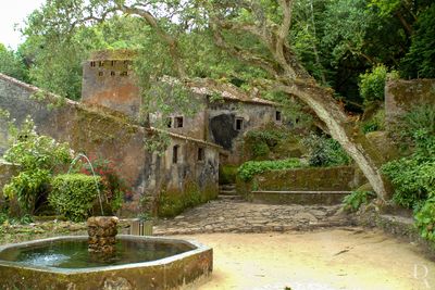 Convento dos Capuchos