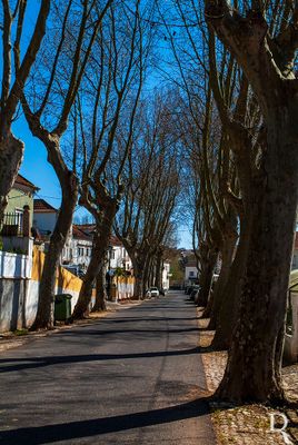Rua Bernardino Pragana