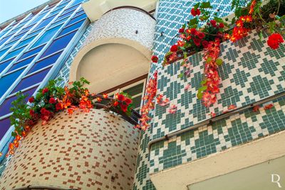 Rua das Montras