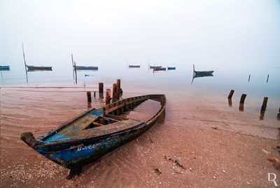A Lagoa de Óbidos em 4 de fevereiro de 2011