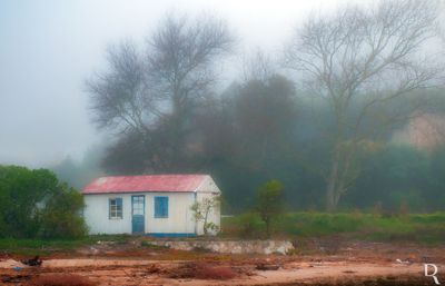 A Lagoa de Óbidos em 4 de fevereiro de 2011