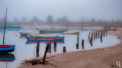A Lagoa de Óbidos em 4 de fevereiro de 2011