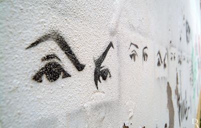 Walls Have Eyes