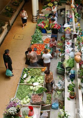 Mercado D. Pedro V