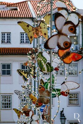 Coimbra em 9 de junho de 2004