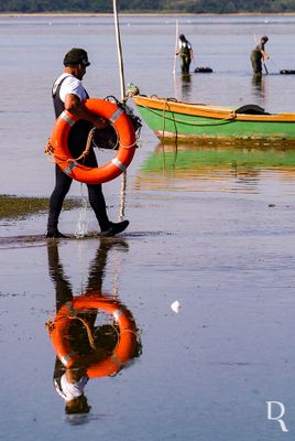 A Lagoa de Óbidos em 16 de junho de 2004