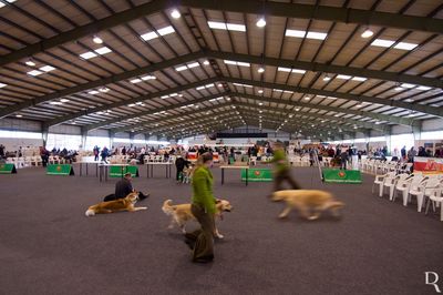 Expoeste