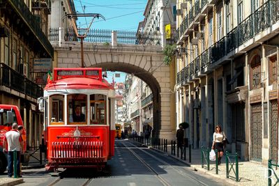 The Sightseeing Trams