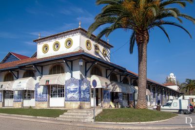 O Mercado Municipal (MIP)