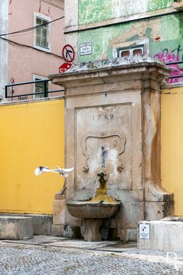 Chafariz da Rua Nova