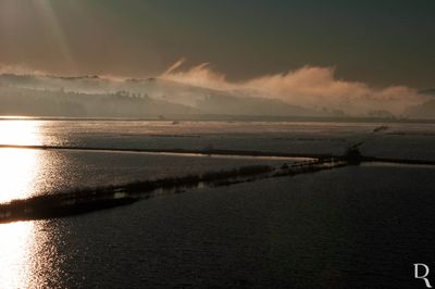 O Mondego