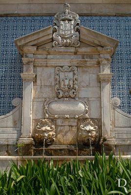  Coimbra, Unio das freguesias de Coimbra (S Nova, Santa Cruz, Almedina e So Bartolomeu).
 
Arquitetura infraestrutural, barroca. Fonte pblica do tempo de D. Joo V com 2 bicas e tanque a toda a largura.

Proteo: Includo na Zona Especial de Proteo do Mosteiro de Santa Cruz, Igreja de So Joo das Donas e Jardim da Manga.

poca de construo: Sc. 18.

( Francisco Jesus [excertos], in http://www.monumentos.gov.pt/Site/APP_PagesUser/SIPA.aspx?id=5184 ) 