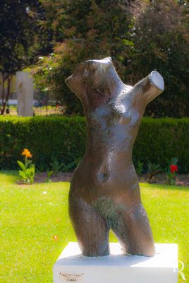 O Torso por Francisco Franco