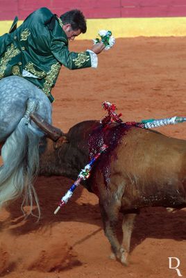 Banderillas and Blood