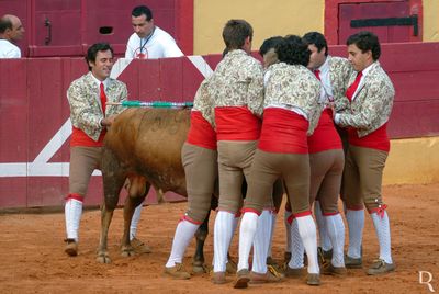 O Grupo de Forcados