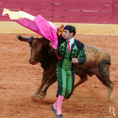 The Spanish Style