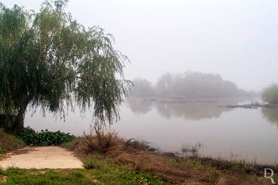 Azambuja - Praia Fluvial do Tejo