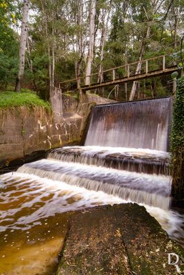 Cascatas do Ribeiro de Moel